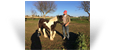 Geille des Pres Secs ~ 6 mths Smoky Black Tobiano Filly - Owned by Ludovic Roux -France