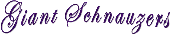 2009/2010