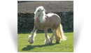 Clononeen Mull of Kintyre