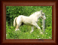 Northern Lights Essence of Pearl